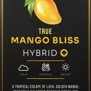 Ace Ultra Premium Mini 2G Gen 5 Mango Bliss