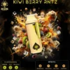 Ace Ultra Premium Kiwi Berry Rntz 1 Ace Ultra Premium Kiwi Berry Rntz